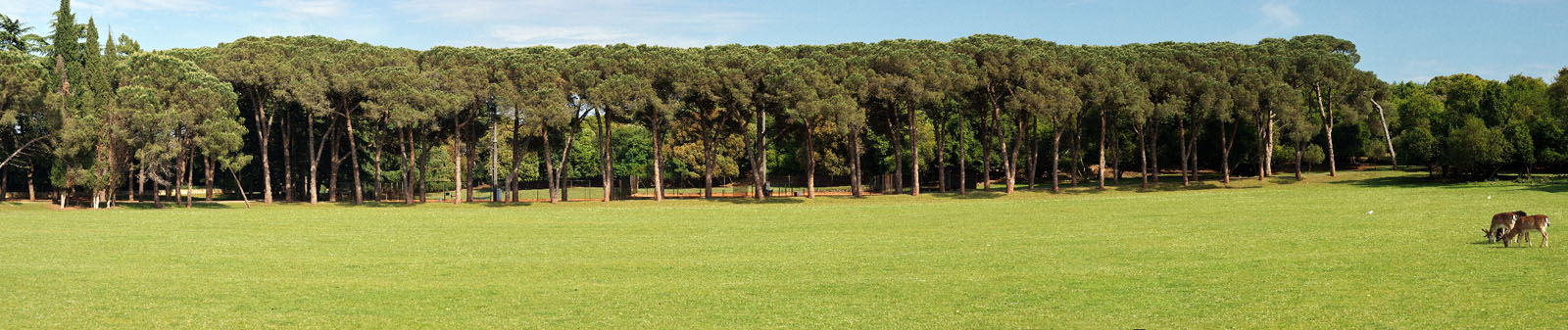 BRIJUNI7 PANORAMA VAR2